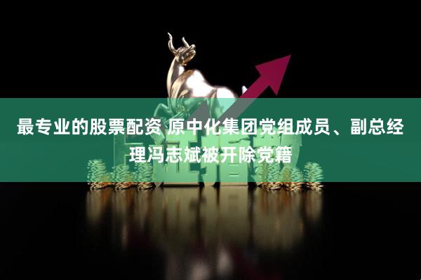 最专业的股票配资 原中化集团党组成员、副总经理冯志斌被开除党籍