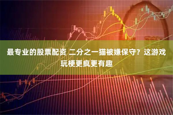 最专业的股票配资 二分之一猫被嫌保守？这游戏玩梗更疯更有趣