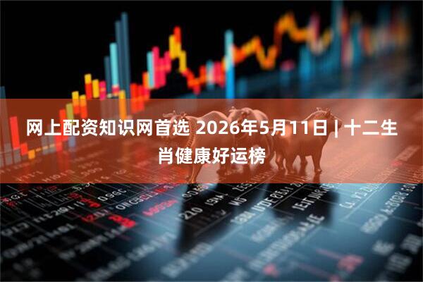 网上配资知识网首选 2026年5月11日 | 十二生肖健康好运榜